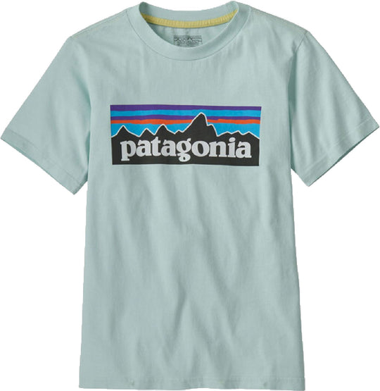  Patagonia T-shirt Kid's P-6 Log Tee Wispy Green Uomo Verde
