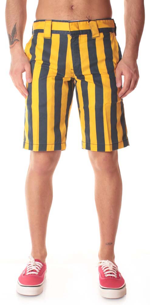  Dickies Short Hague Custard Uomo Fantasia