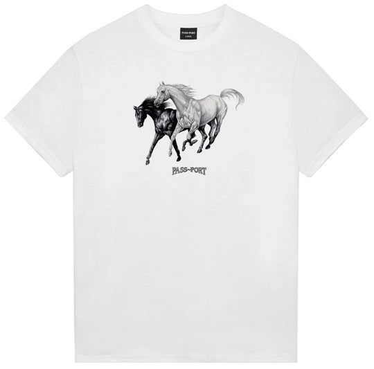  Pass-port T-shirt Brumbies Tee White Uomo Bianco
